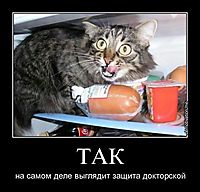 ТАК на самом деле выглядит защита докторской
