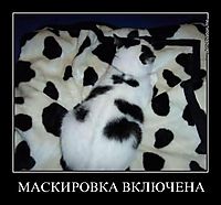 МАСКИРОВКА ВКЛЮЧЕНА 