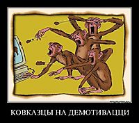 КОВКАЗЦЫ НА ДЕМОТИВАЦЦИ 