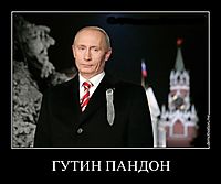 ГУТИН ПАНДОН 