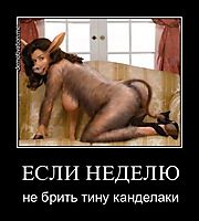 ЕСЛИ НЕДЕЛЮ не брить тину канделаки