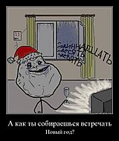 А как ты собираешься встречать Новый год?