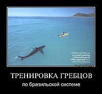 ТРЕНИРОВКА ГРЕБЦОВ