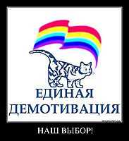 НАШ ВЫБОР! 