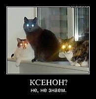 КСЕНОН? не, не знаем.