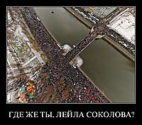 ГДЕ ЖЕ ТЫ, ЛЕЙЛА СОКОЛОВА? 