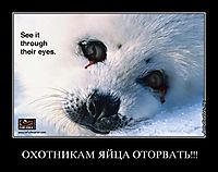 ОХОТНИКАМ ЯЙЦА ОТОРВАТЬ!!! 