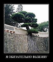Я ОБЯЗАТЕЛЬНО ВЫЖИВУ 