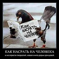 КАК НАСРАТЬ НА ЧЕЛОВЕКА и не огрести пиздюлей, новая книга дарьи донцовой.