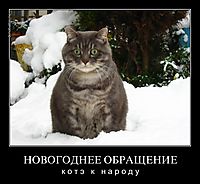 НОВОГОДНЕЕ ОБРАЩЕНИЕ к о т э   к   н а р о д у