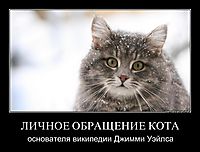 ЛИЧНОЕ ОБРАЩЕНИЕ КОТА основателя википедии Джимми Уэйлса