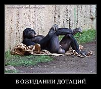 В ОЖИДАНИИ ДОТАЦИЙ 