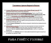РЫБА ГНИЁТ С ГОЛОВЫ! 