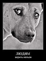 ЛЮДЯМ верить нельзя
