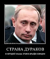 СТРАНА ДУРАКОВ в которой мышь стала альфа-самцом