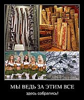 МЫ ВЕДЬ ЗА ЭТИМ ВСЕ здесь собрались!