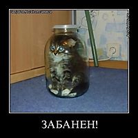 ЗАБАНЕН! 