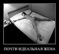 ПОЧТИ ИДЕАЛЬНАЯ ЖЕНА 