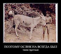 ПОЭТОМУ ОСЛИК ИА ВСЕГДА БЫЛ таким грустным