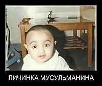 ЛИЧИНКА МУСУЛЬМАНИНА 