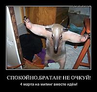 СПОКОЙНО,БРАТАН! НЕ ОЧКУЙ! 4 марта на митинг вместе идём!