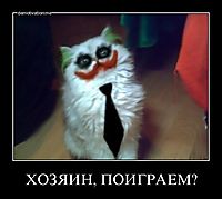 ХОЗЯИН, ПОИГРАЕМ? 