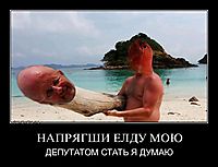 НАПРЯГШИ ЕЛДУ МОЮ ДЕПУТАТОМ СТАТЬ Я ДУМАЮ