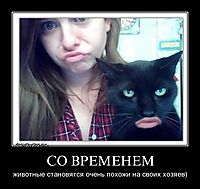 СО ВРЕМЕНЕМ животные становятся очень похожи на своих хозяев)