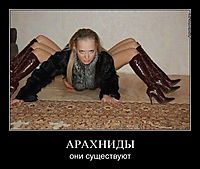 АРАХНИДЫ они существуют