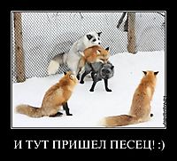 И ТУТ ПРИШЕЛ ПЕСЕЦ! :) 