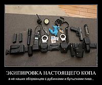 ЭКИПИРОВКА НАСТОЯЩЕГО КОПА а не наших оборванцев с дубинками и бутылками пива...