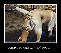 ЗАПИСЬ В РЯДЫ ЕДИНОЙ РОССИИ 