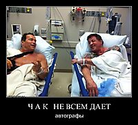 Ч А К   НЕ ВСЕМ ДАЕТ автографы