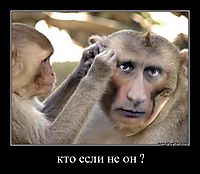 кто если не он ?