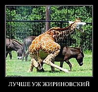ЛУЧШЕ УЖ ЖИРИНОВСКИЙ 