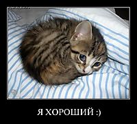 Я ХОРОШИЙ :) 
