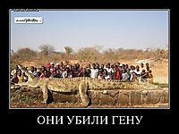 ОНИ УБИЛИ ГЕНУ 
