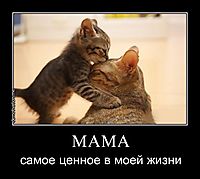 МАМА самое ценное в моей жизни