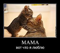 МАМА вот что я люблю