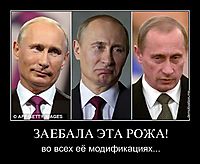 ЗАЕБАЛА ЭТА РОЖА! во всех её модификациях...