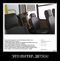 ЭТО ПИТЕР, ДЕТКА! 