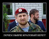 ПОЧЕМ НЫНЧЕ КРАПОВЫЙ БЕРЕТ? 