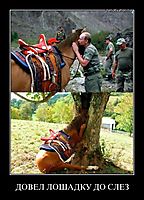 ДОВЕЛ ЛОШАДКУ ДО СЛЕЗ 