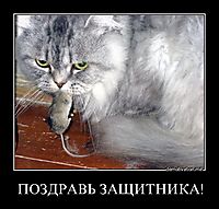 ПОЗДРАВЬ ЗАЩИТНИКА! 