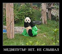 МЕДВЕПУТЫ?  НЕТ,  НЕ  СЛЫШАЛ 