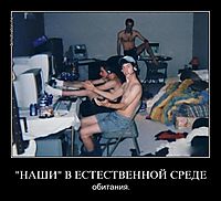 "НАШИ" В ЕСТЕСТВЕННОЙ СРЕДЕ обитания.