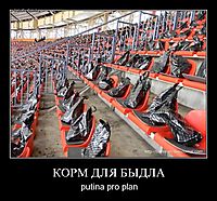 КОРМ ДЛЯ БЫДЛА putina pro plan