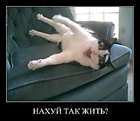 НАХУЙ ТАК ЖИТЬ? 