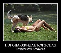ПОГОДА ОЖИДАЕТСЯ ЯСНАЯ местами золотые дожди