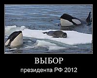 ВЫБОР президента РФ 2012